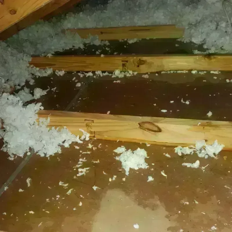 Attic Water Damage in Addis, LA